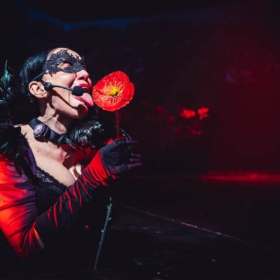 carodejnik z krajiny oz