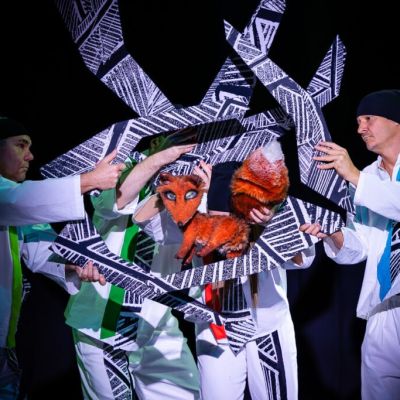 liska s duhovymi ocami