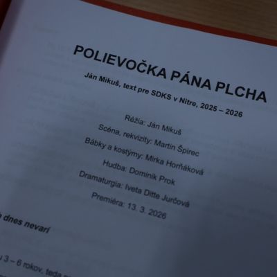 polievocka pana plcha priprava