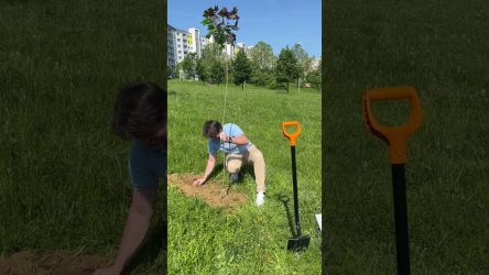 divadelny strom zasadeny k67